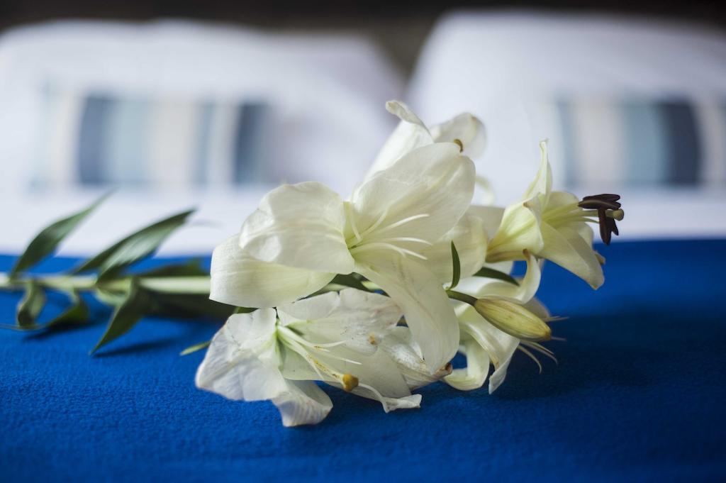 Hotel Las Chirimoyas Σάλτα Εξωτερικό φωτογραφία